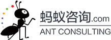 蚂蚁咨询-企业全方位动力系统-员工股权激励培训